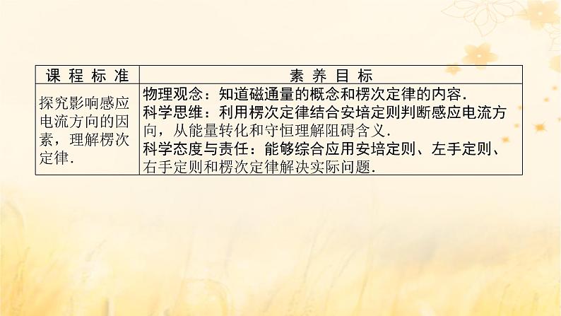 2025版高考物理全程一轮复习第十二章电磁感应第一讲电磁感应现象楞次定律课件02