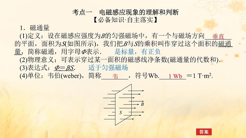 2025版高考物理全程一轮复习第十二章电磁感应第一讲电磁感应现象楞次定律课件05