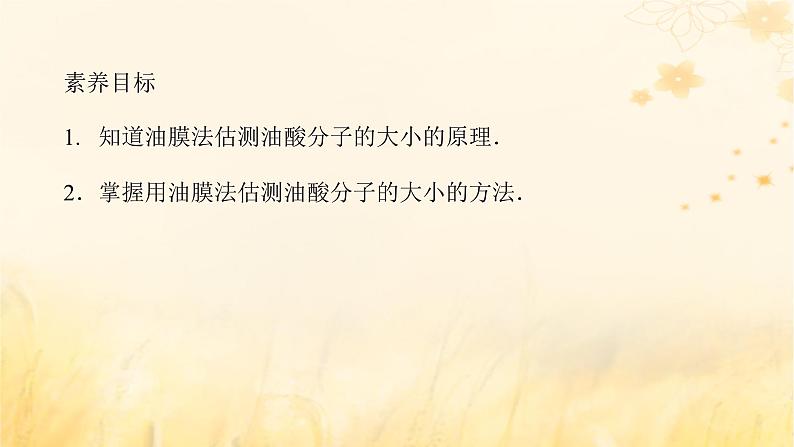 2025版高考物理全程一轮复习第十四章热学实验十八用油膜法估测油酸分子的大小课件02