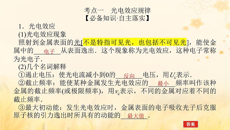 2025版高考物理全程一轮复习第十六章波粒二象性原子结构原子核第一讲波粒二象性课件05