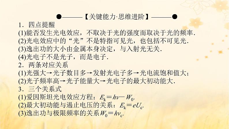 2025版高考物理全程一轮复习第十六章波粒二象性原子结构原子核第一讲波粒二象性课件08