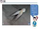 人教版2019高中物理选择性必修第一册1-6反冲现象 火箭精品课件1
