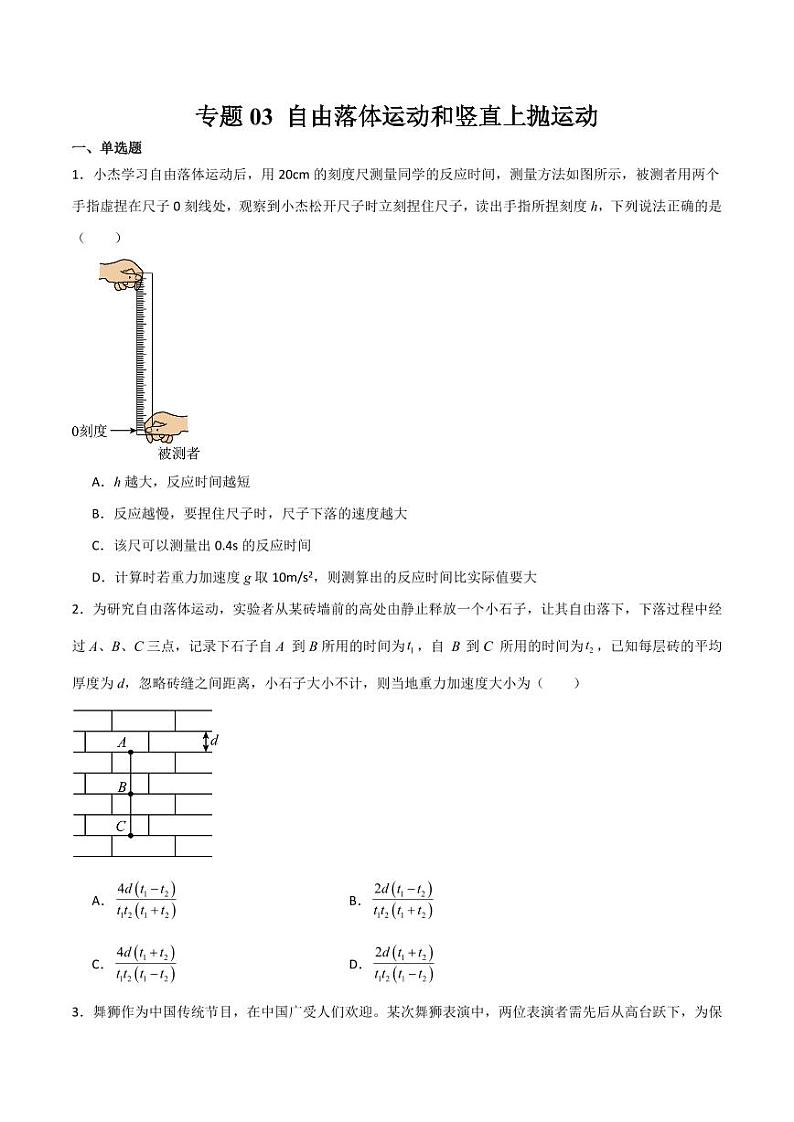 专题03 自由落体运动和竖直上抛运动（分层练习）（含答案） 2025年高三物理一轮复习多维度精讲导学与分层专练01