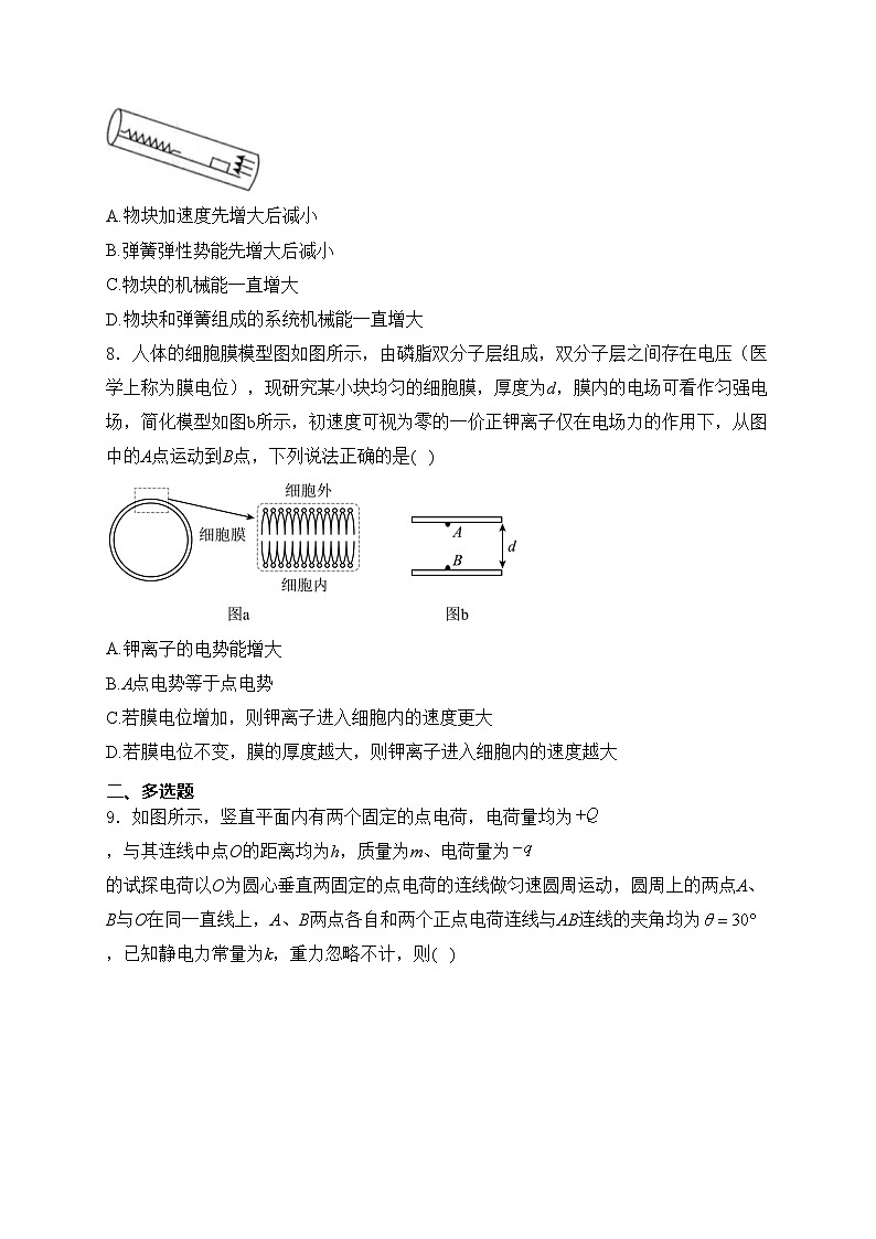 河北郑口中学2023-2024学年高一下学期7月期末考试物理试卷(含答案)第3页