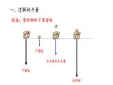 2.4 自由落体运动 课件 高一上学期物理人教版（2019）必修第一册