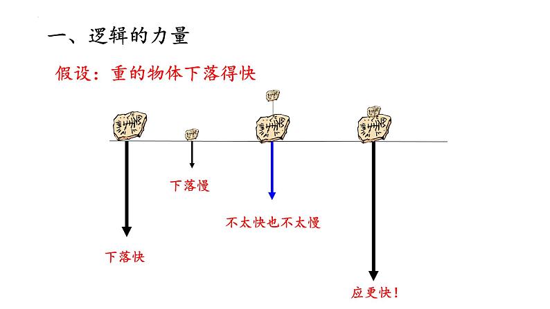 2.4 自由落体运动 课件 高一上学期物理人教版（2019）必修第一册第4页