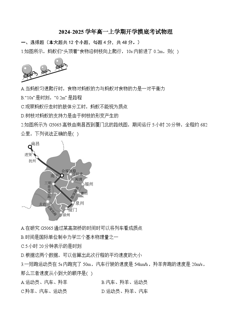 湖南省衡阳市衡阳县第二中学2024-2025学年高一上学期开学摸底考试物理试题01