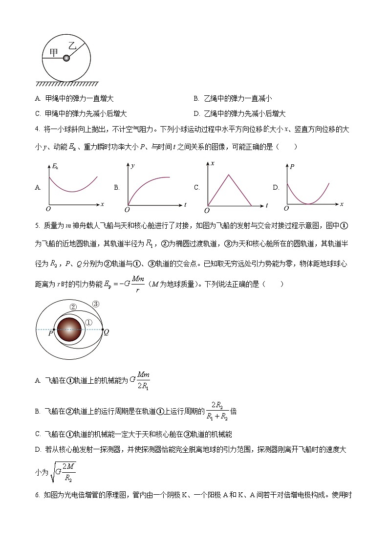 2024届安徽省高三下学期模拟预测物理试题（原卷版）02
