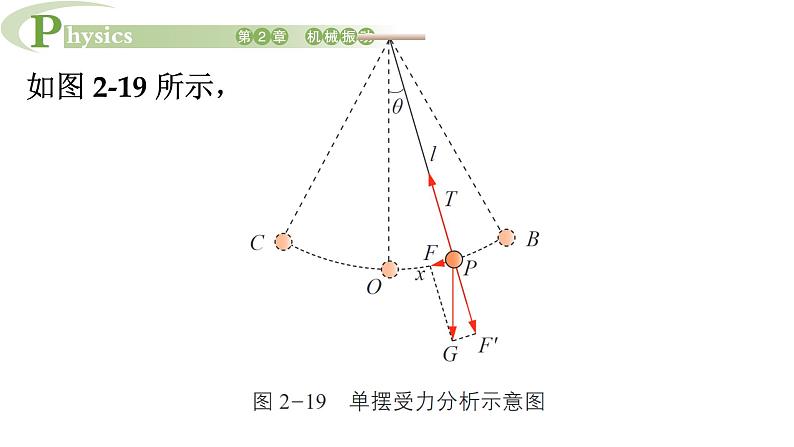 2.3 单 摆 课件 高一物理鲁科版（2019）选择性必修第一册07