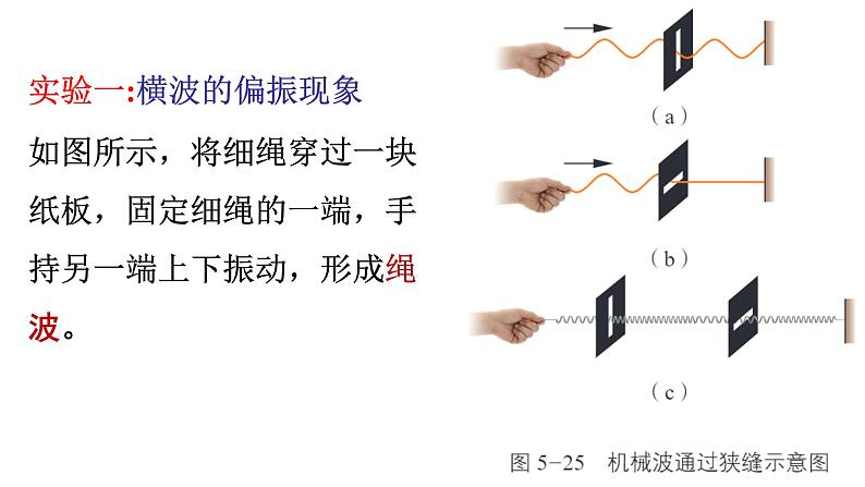 5.4 光的偏振 课件 高一物理鲁科版（2019）选择性必修第一册05