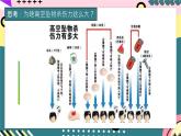 教科版（2019）高一物理必修第二册 4.4《势能》课件