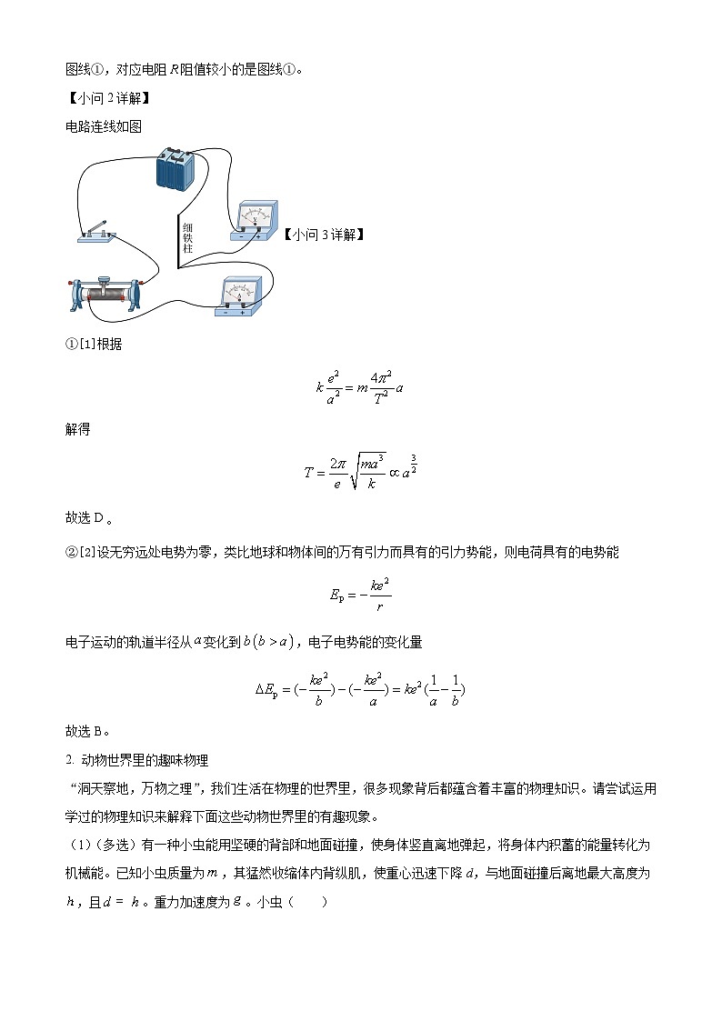 上海市杨浦区2023-2024学年高二下学期6月期末模拟考试物理试卷（Word版附解析）03