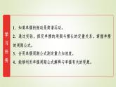 鲁科版高中物理选择性必修第一册第2章第3节单摆课件