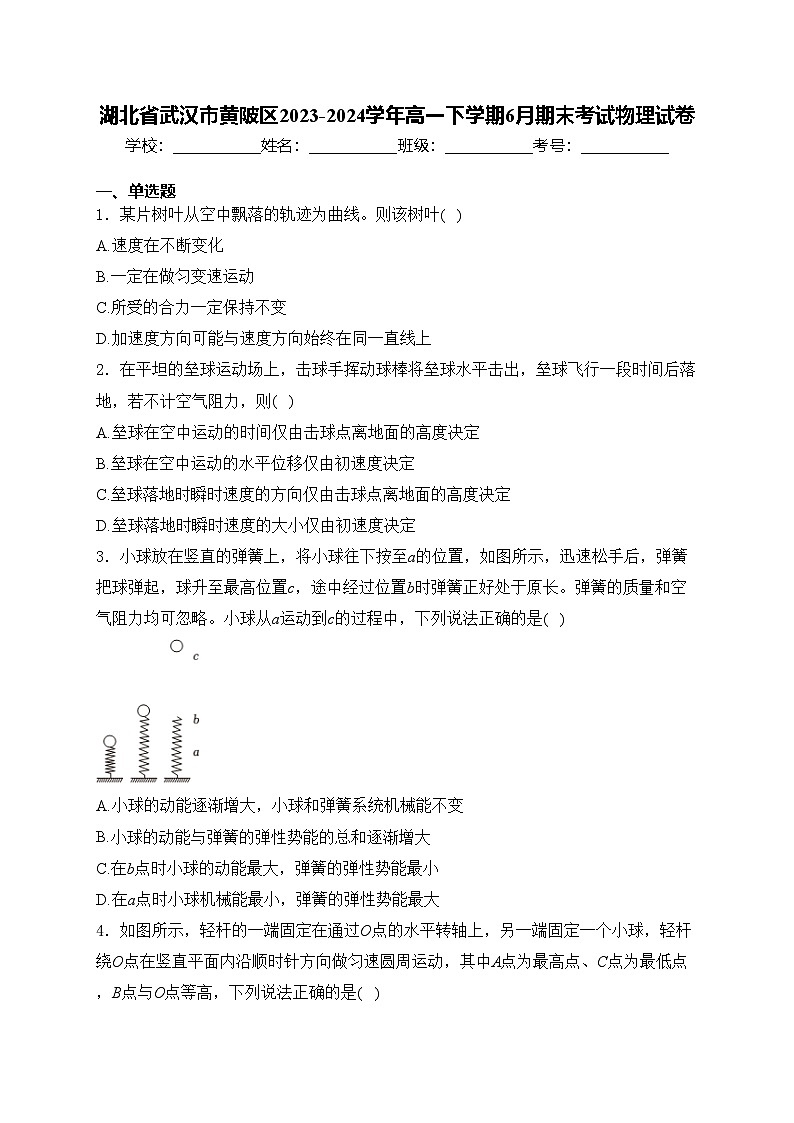 湖北省武汉市黄陂区2023-2024学年高一下学期6月期末考试物理试卷(含答案)第1页