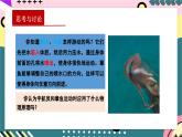 人教版（2019）高中物理选择性必修第一册 1.6《反冲现象火箭》课件+素材