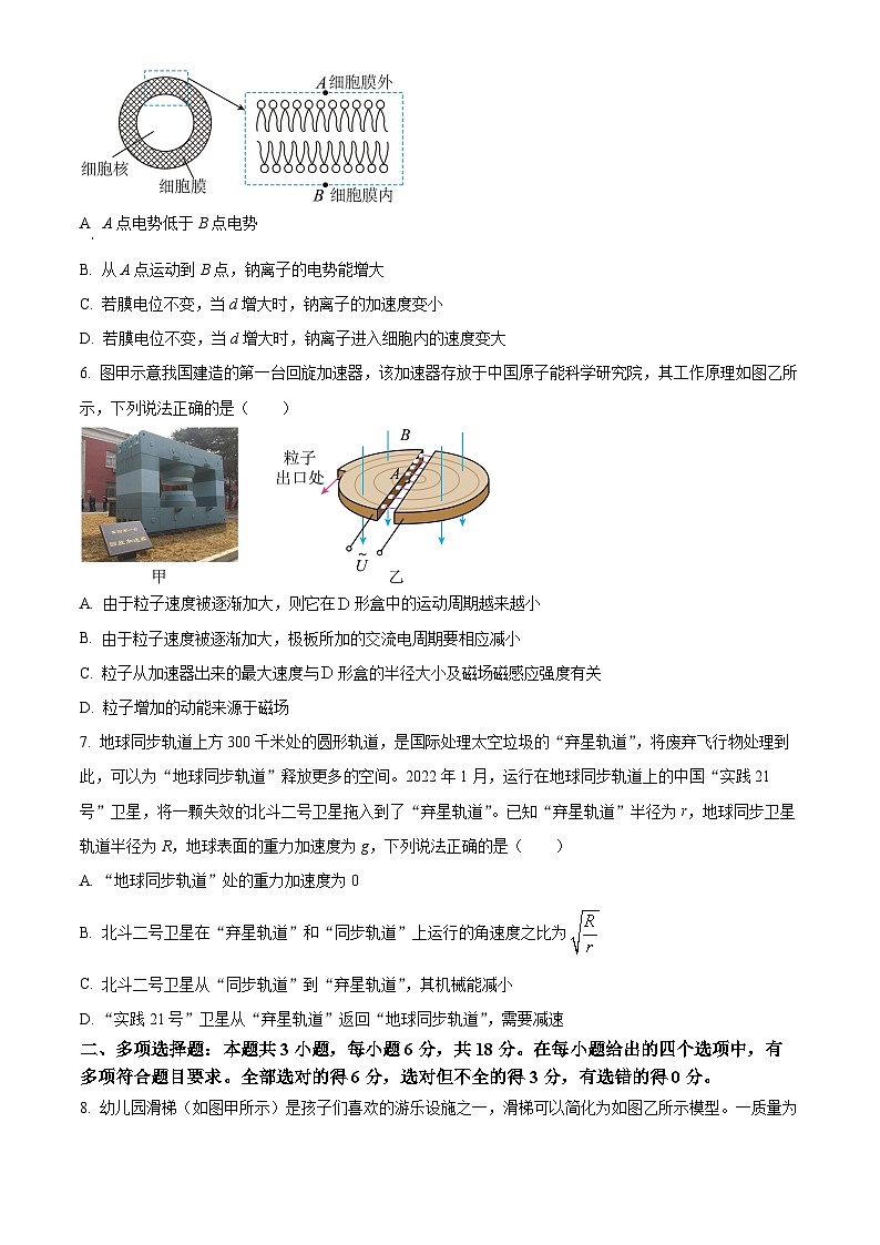 广东省广州市真光中学2024-2025学年高三上学期8月开学质量检测物理试题（原卷版）第3页
