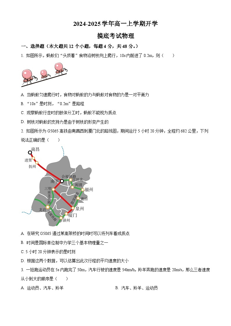 湖南省衡阳市衡阳县第二中学2024-2025学年高一上学期开学摸底考试物理试题（原卷版+解析版）01