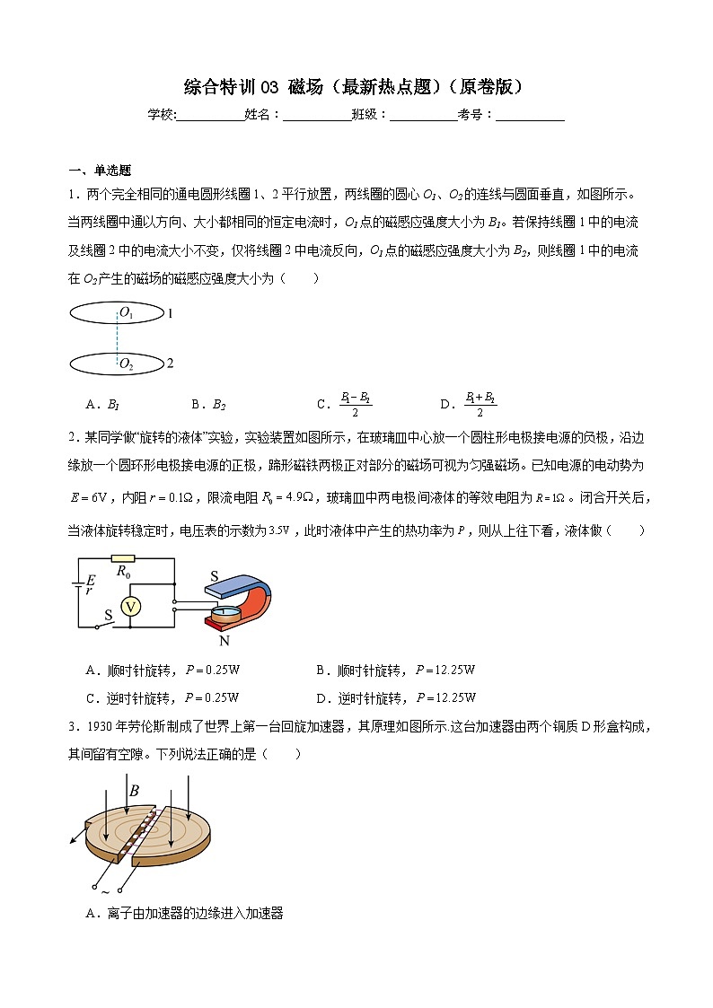 综合特训03 磁场（热点题）（原卷版）-2025高考物理一轮新题型综合特训（上海专用）第1页