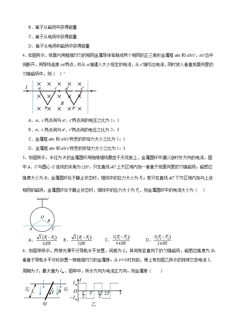 综合特训03 磁场（热点题）（原卷版）-2025高考物理一轮新题型综合特训（上海专用）第2页