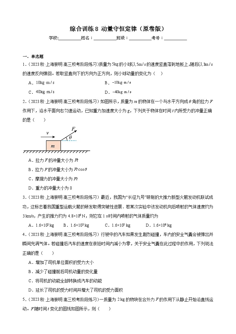 综合训练8 动量守恒定律（原卷版）-2025高考物理一轮新题型综合特训（上海专用）第1页