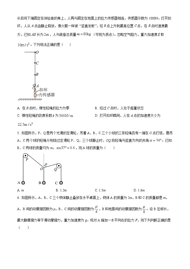 湖南省邵阳市第二中学2024-2025学年高三上学期8月月考物理试题（原卷版）第2页