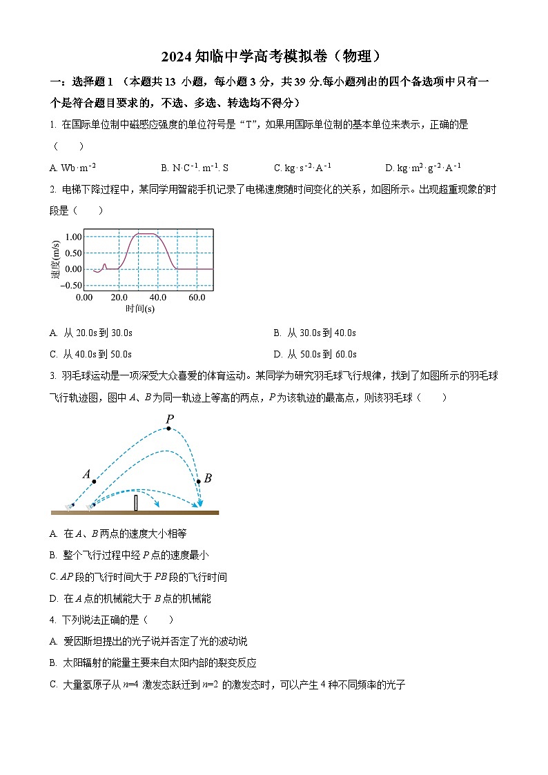 浙江省温州市乐清市知临中学2024届高三下学期模拟（三模）物理试题（Word版附解析）01