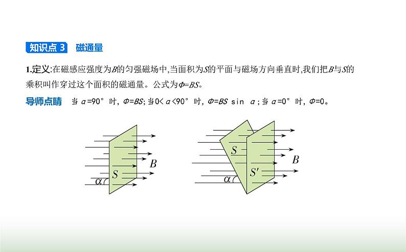 人教版（江苏专用）高中物理必修第三册第十三章电磁感应与电磁波初步2磁感应强度磁通量课件第4页