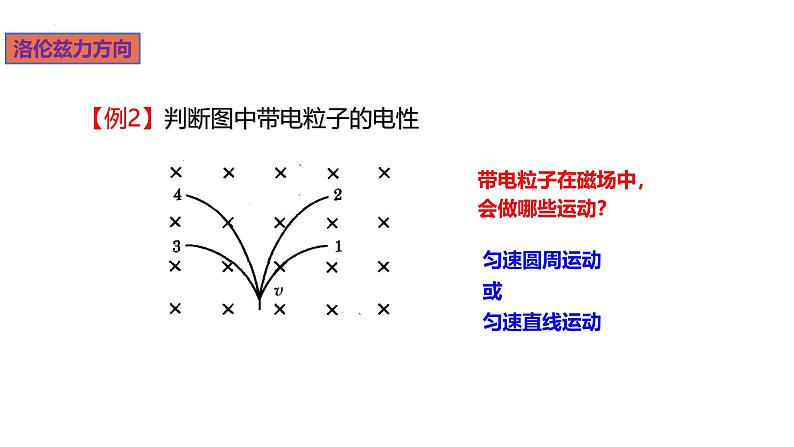 新粤教版高中物理选择性必修第二册 1.3洛伦兹力 课件07