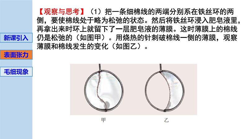 新粤教版选择性必修第三册 2.4液体的表面张力 课件第4页