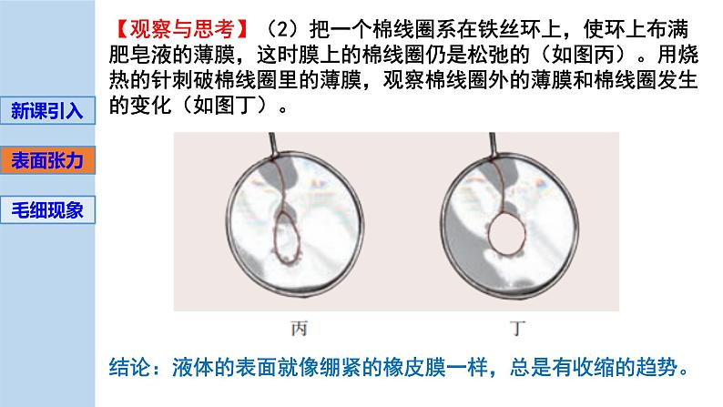 新粤教版选择性必修第三册 2.4液体的表面张力 课件第5页