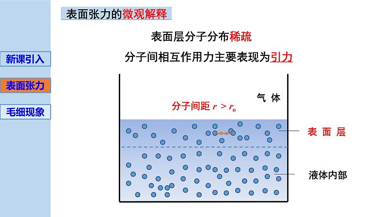 新粤教版选择性必修第三册 2.4液体的表面张力 课件第6页