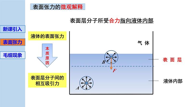 新粤教版选择性必修第三册 2.4液体的表面张力 课件第7页