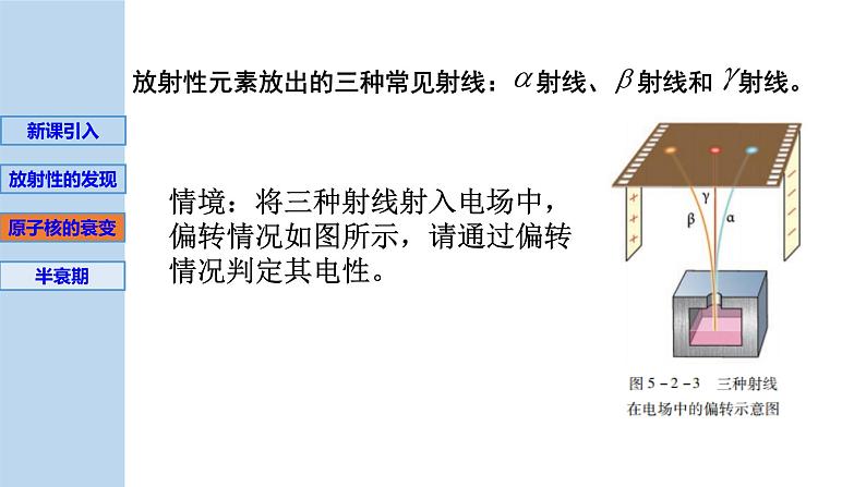 5.2放射性元素的衰变第7页