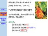 新粤教版选择性必修第三册 5.5裂变和聚变 课件