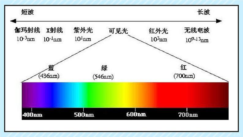 新鲁科版选择性必修第二册 4.3电磁波谱课件 课件第5页