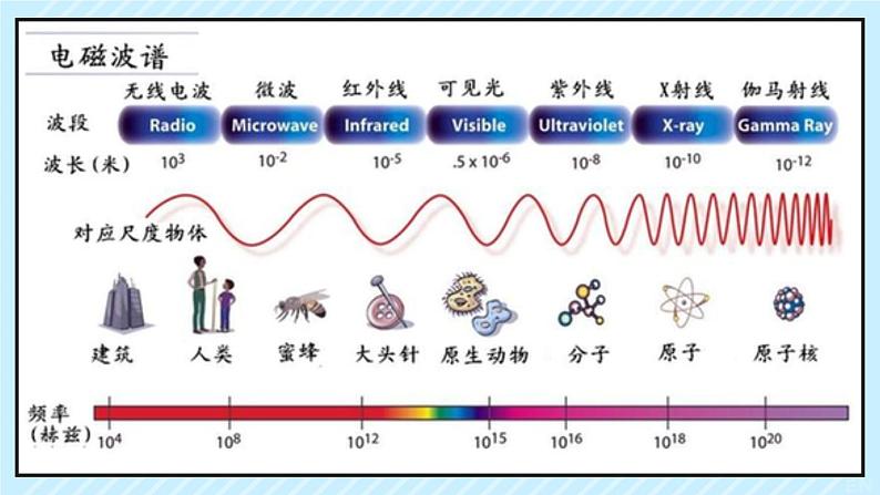 新鲁科版选择性必修第二册 4.3电磁波谱课件 课件第6页