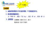 5.3牛顿第二运动定律-高一物理同步课件（鲁科版2019必修第一册）