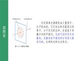 鲁科版2019高二物理选修一 5.4光的偏振 课件