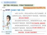 鲁科版2019高一物理必修一 2.5自由落体运动 课件