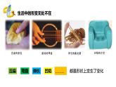 鲁科版2019高一物理必修一 3.2科学探究：弹力 课件
