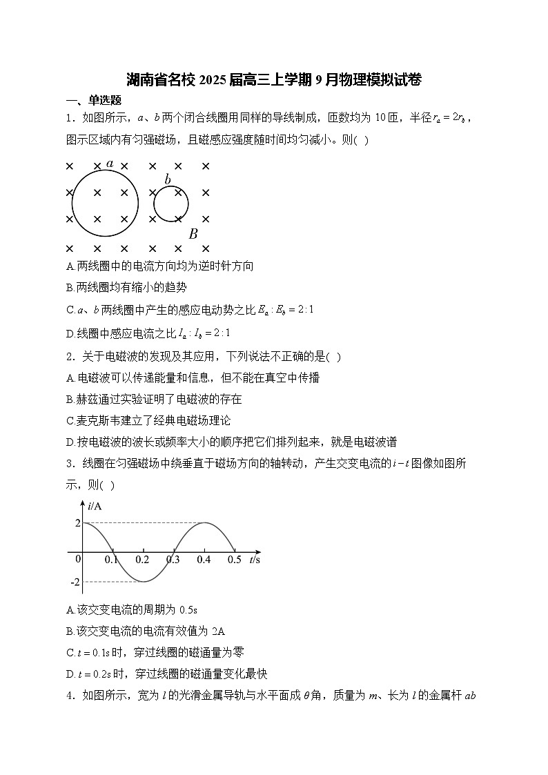 湖南省名校2024-2025学年高三上学期9月月考物理试题（Word版附解析）01