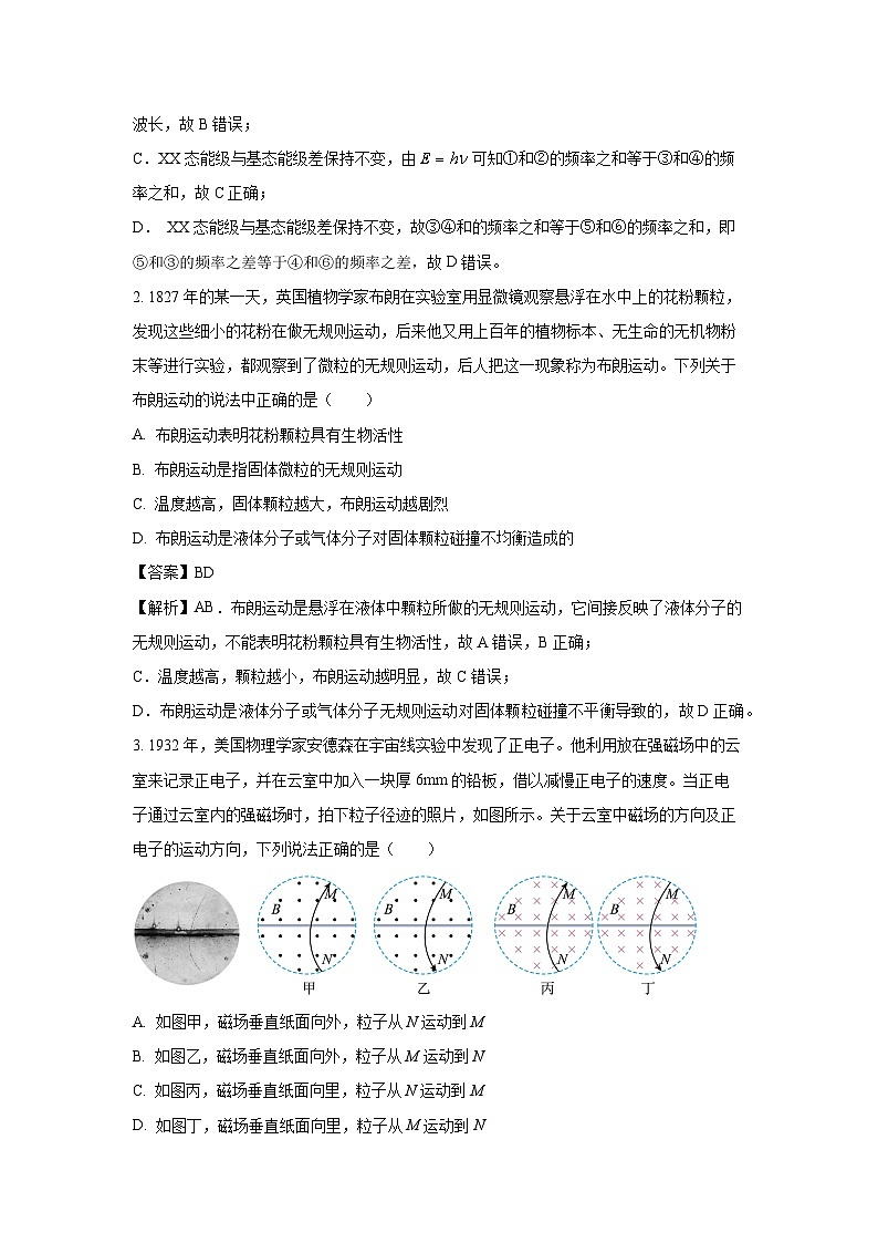 [物理][期末]山东省枣庄市2023-2024学年高二下学期7月期末考试试题(解析版)02