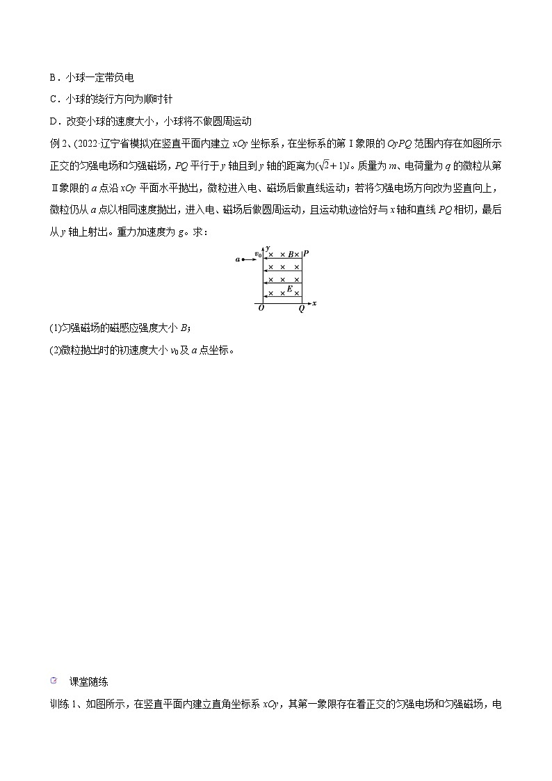 新高考物理一轮复习精讲精练第10章磁场第3讲 带电粒子在复合场中的运动（原卷版）第3页