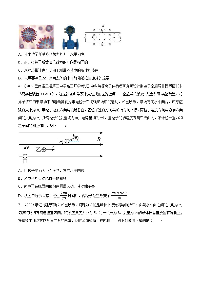新高考物理一轮复习单元检测专题12　安培力与洛伦兹力（原卷版）第3页