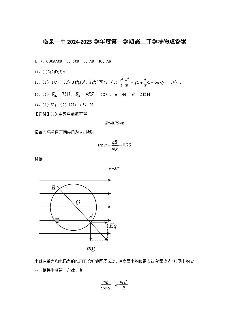 安徽省阜阳市临泉第一中学2024-2025学年高二上学期开学物理试题01