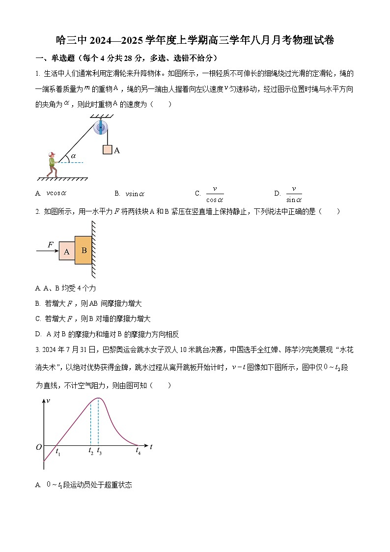 黑龙江省哈尔滨市第三中学校2024-2025学年高三上学期8月月考物理试卷（原卷版+解析版）01