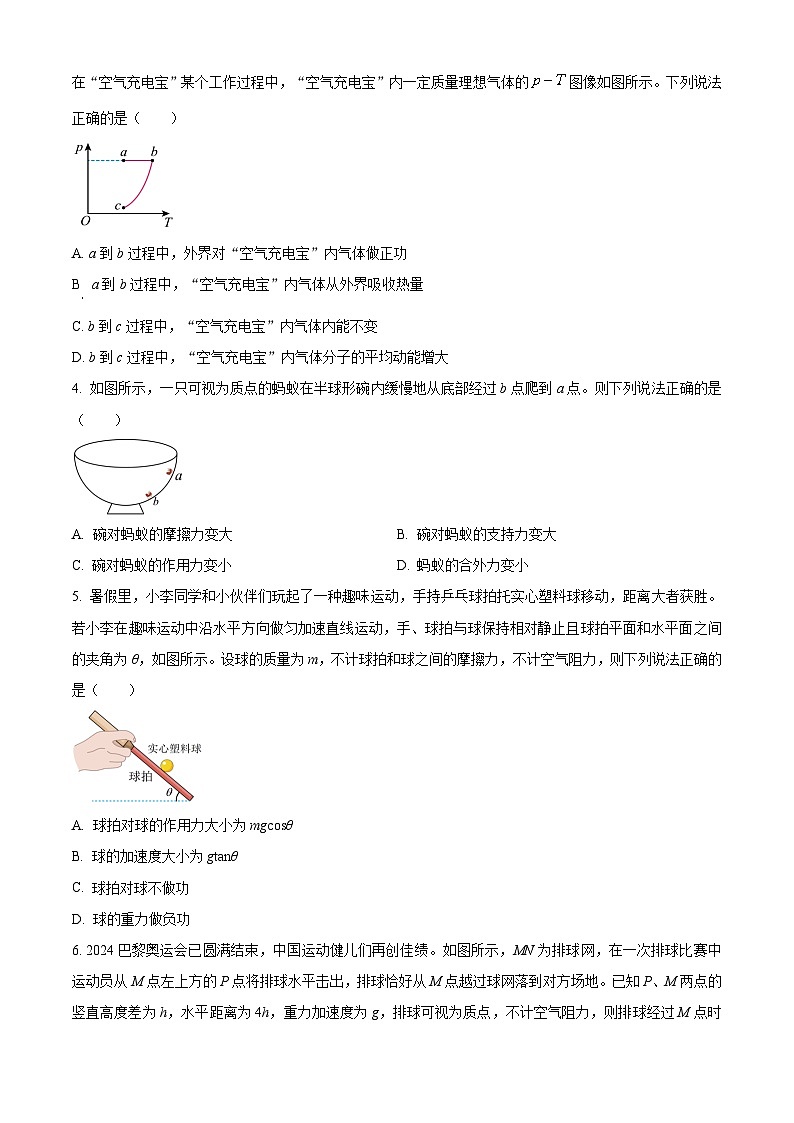 重庆市育才中学2024-2025年高三上学期9月入学考试物理试卷（Word版附解析）02