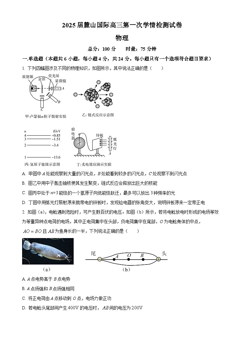 湖南省长沙麓山国际实验学校2024-2025学年高三上学期第一次学情检测物理试卷（Word版附解析）01