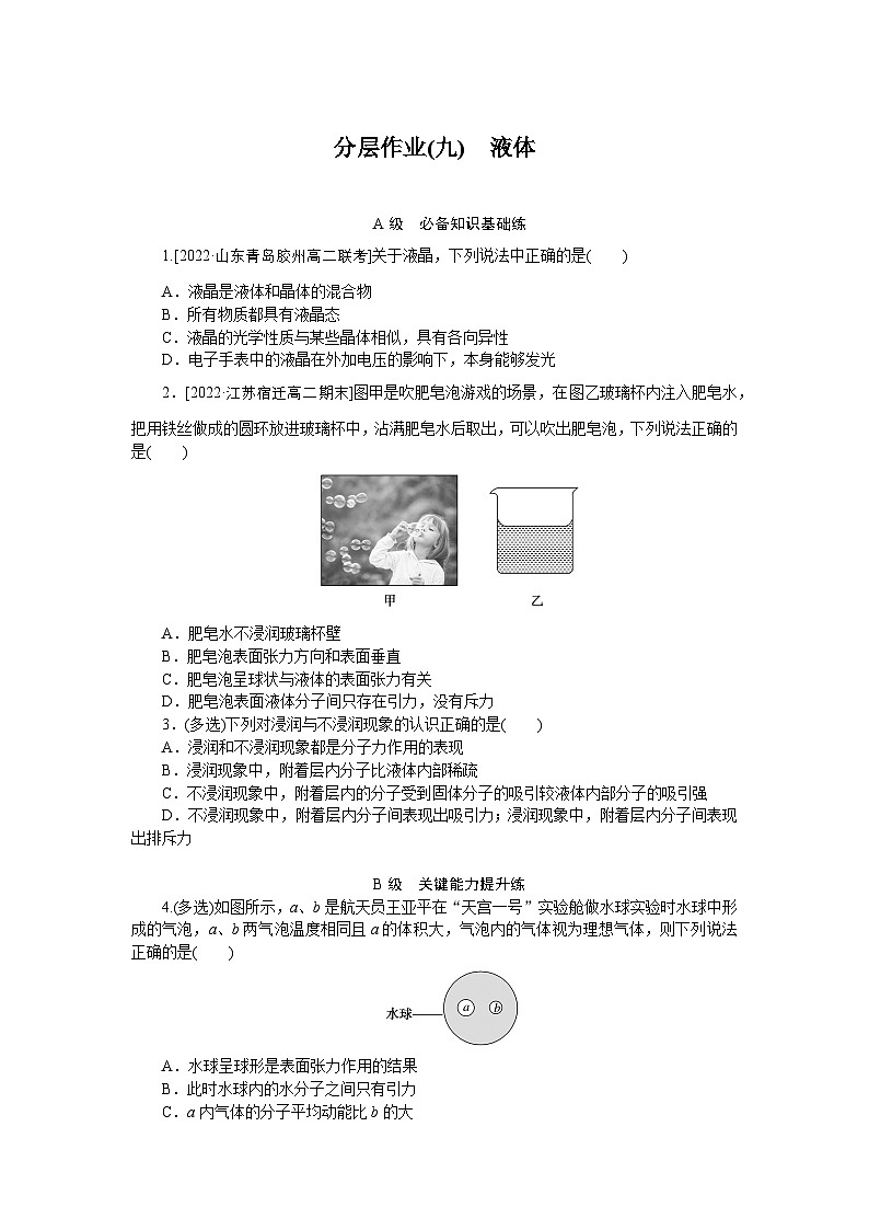 2024—2025高中物理选择性必修3一轮复习分层作业(九)第1页
