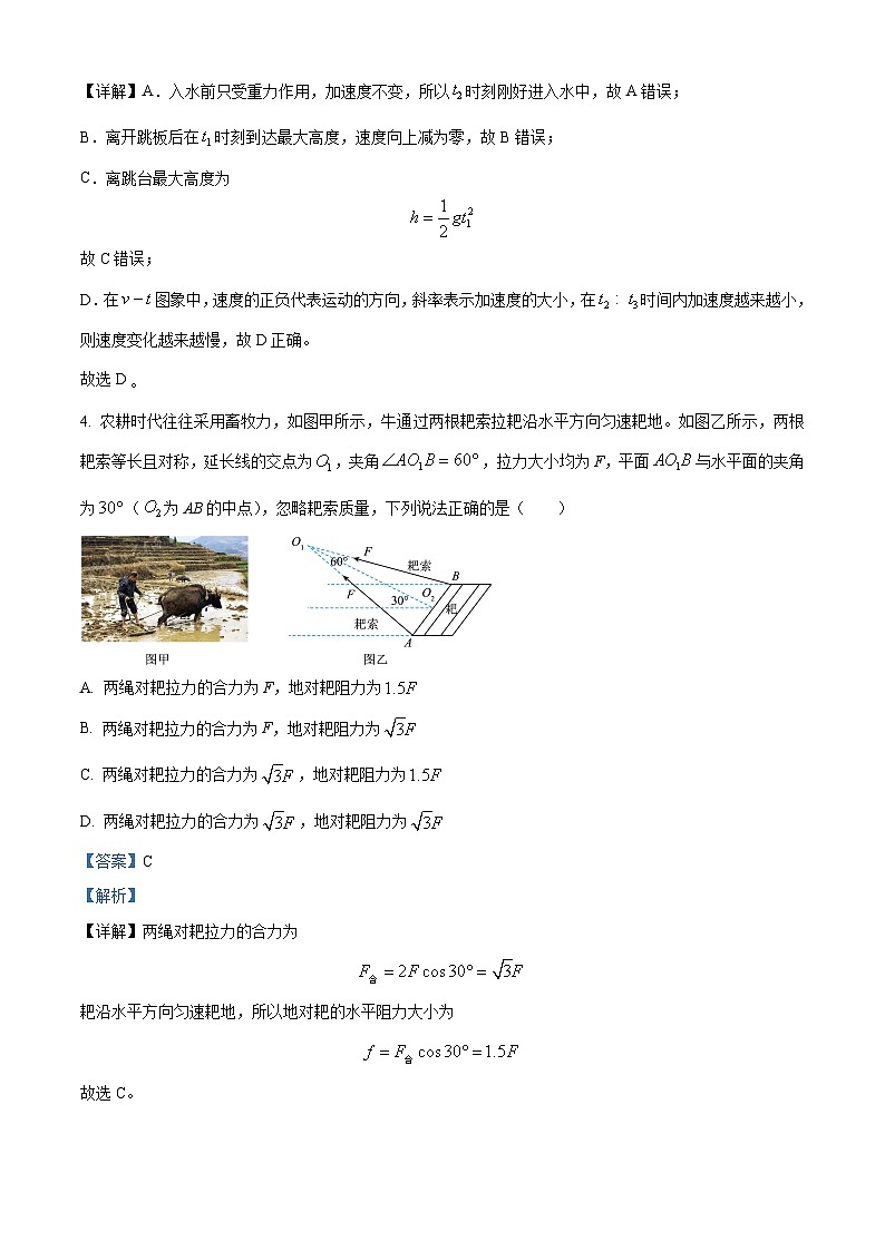 重庆市第八中学2024-2025学年高三上学期入学适应性训练物理试题（解析版）03